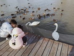 -盐城丹顶鹤湿地生态旅游区