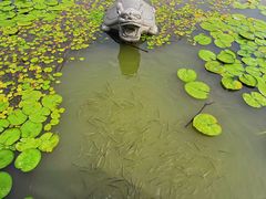 -昆山城市生态森林公园