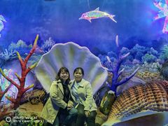 -福州罗源湾海洋世界旅游区