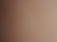 -上海新锦江大酒店