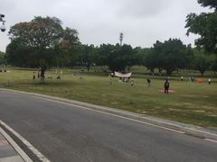 -东莞植物园