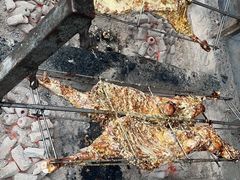 -三岔湖高家庄农家乐烤全羊柴火鸡翘壳鱼(三岔湖店)