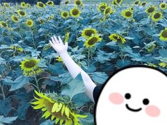 -光明小镇欢乐田园