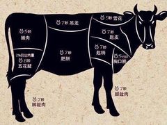 -陈记顺和潮汕牛肉火锅(棠德南路店)
