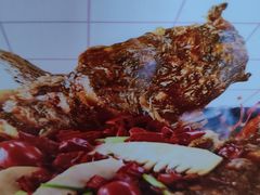 -老板恋上鱼(高新万达店)