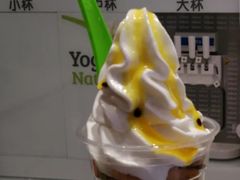 -Salud撒露欧洲冻酸奶(蓝色港湾店)