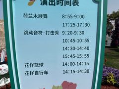 -荷兰花海