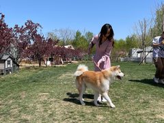 -TIPPI营地 房车主题·露营烧烤团建轰趴(天安假日店)