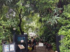 -Fern Forest Cafe