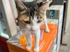 -中国人民解放军空军第九八六医院(北区)