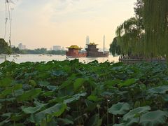 -济南大明湖景区