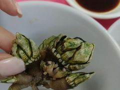 狗爪螺-邹记·美食(斗门店)