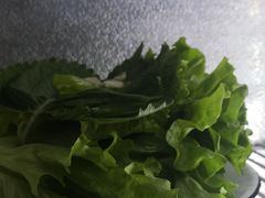 生菜-马路牙子烧烤音乐酒馆(望京店)