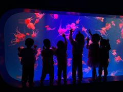 -全优加早教·托育(金沙御苑校区)