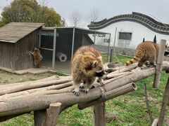 -宁波杭州湾国家湿地公园