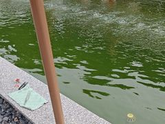 -DGE季风钓虾营地·团建·聚会