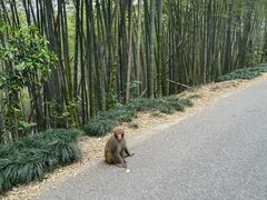 -苏州环秀晓筑养生度假村