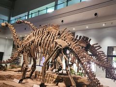 -自贡恐龙博物馆