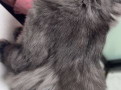 -嘉馨宠物医院·CT影像转诊·心脏科·犬猫全科诊疗中心(下沙大学城院区)
