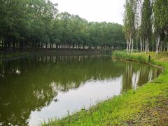 -东郊湿地公园