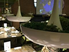 -青叶202都市餐厅(迪诺水镇店)