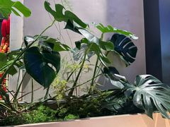 -茄子恰恰·新云南小炒(金池购物中心店)