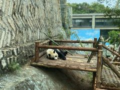 -泉州海丝野生动物世界