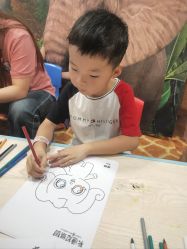 -卡通尼·Safari非洲探索乐园·生日会(金桥国际商业广场店)