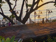 -卷心菜和避孕套餐厅(Pattaya)