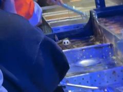 -盛江山自助料理(奥莱锦辉购物广场店)