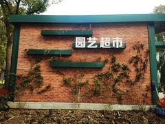 -新江湾城公园