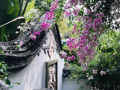 -深圳国际园林花卉博览园