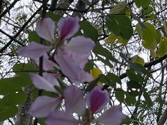 -广东外语外贸大学(白云山校区)