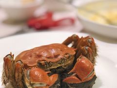 -王宝和酒家(黄浦店)