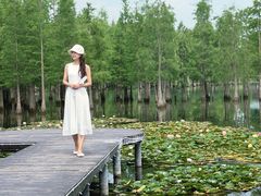 -白鹭湾湿地公园