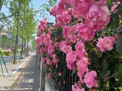 -乐刻健身(利邻荟合川店)