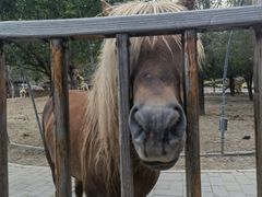 -北京鹿世界主题园