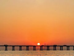 -宝安西湾红树林湿地公园