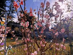 -求水山公园
