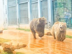 -昆明动物园