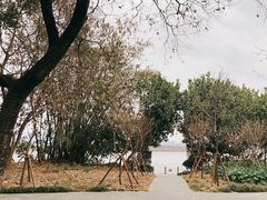 -福建鲤鱼洲酒店