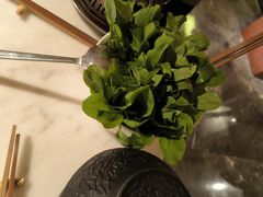 水煮鸡毛菜-初蓉丨遇见新川菜(亲贤街荣耀店)