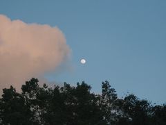 -荔香公园