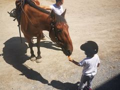 -月河湾马术俱乐部(朝阳店)