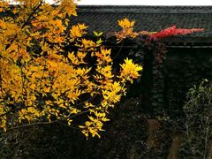 -恋乡太行水镇