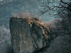 -北京鹫峰国家森林公园