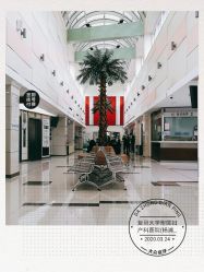 -复旦大学附属妇产科医院(杨浦院区)