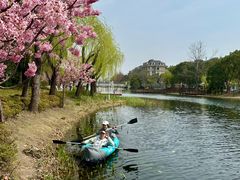 -新江湾城公园