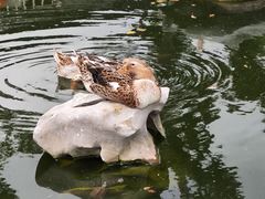 -龙华寺