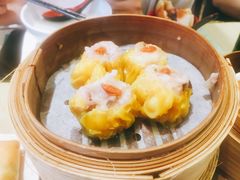 鲜虾烧卖-添好运点心专门店(北角店)